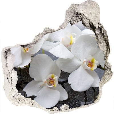 3D wandsticker gat in de muur Orchideeën in water