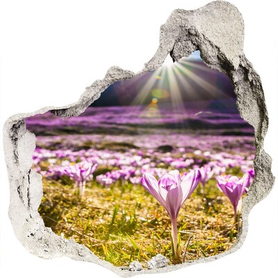 3D muursticker effect gat in de muur Een bloemenveld in de zon.
