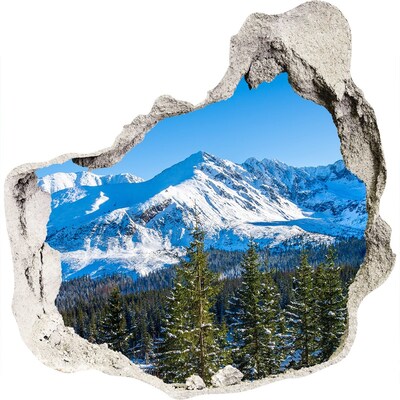 3D muursticker effect gat in de muur Winters berglandschap