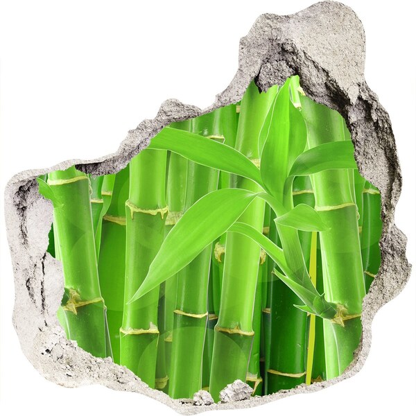 trapfolie Groen bamboebos