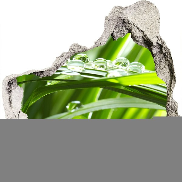 zelfklevende trapfolie Groene weide met waterdruppels