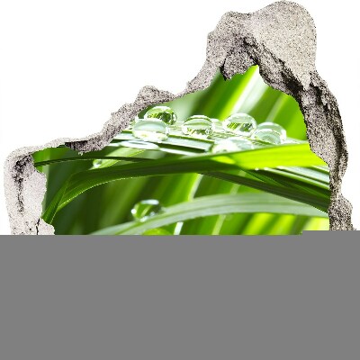 zelfklevende trapfolie Groene weide met waterdruppels