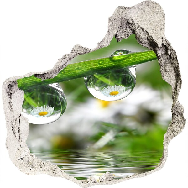 Samoprzylepna dziura naklejka Kwiatowa oaza z kroplami wody