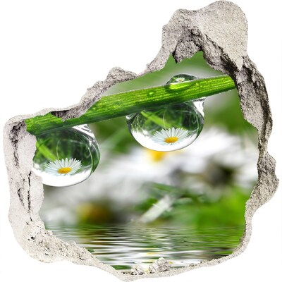 tegelstickers Bloemenoase met waterdruppels