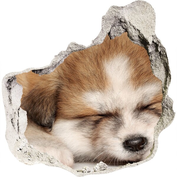 tegelstickers keuken Schattige puppy in een gat in de muur