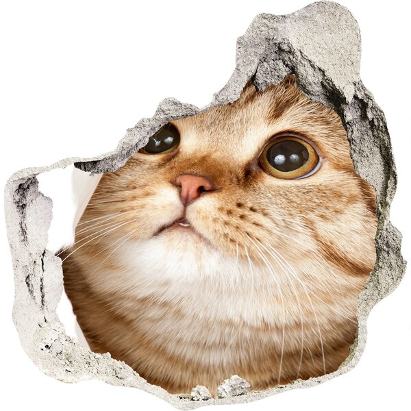 tegelstickers Kat in een gat in de muur