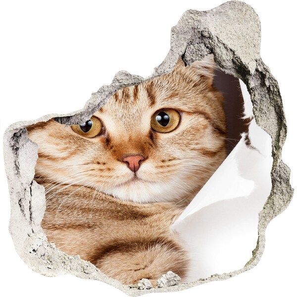 tegelstickers keuken Kat in een gat in de muur