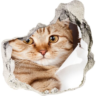 tegelstickers keuken Kat in een gat in de muur