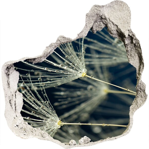 trapfolie Paardenbloemen in water