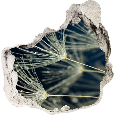 Samoprzylepna dziura naklejka Kwiaty dmuchawca w wodzie