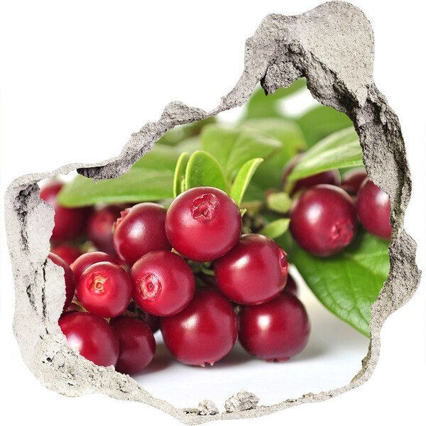 zelfklevende trapfolie Fruity Hole in the Wall