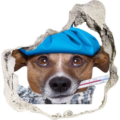 3D wandsticker gat in de muur Zieke hond met een hoed