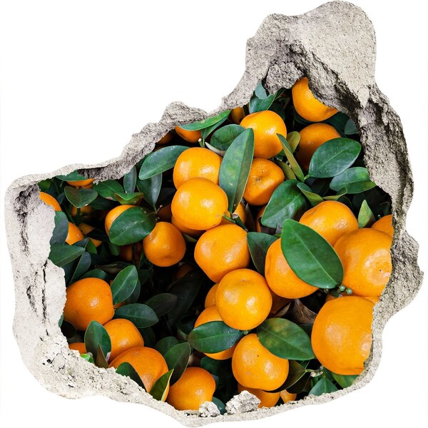 Naklejka 3D dziura okleina beton Owoce w ogrodzie pomarańczowym
