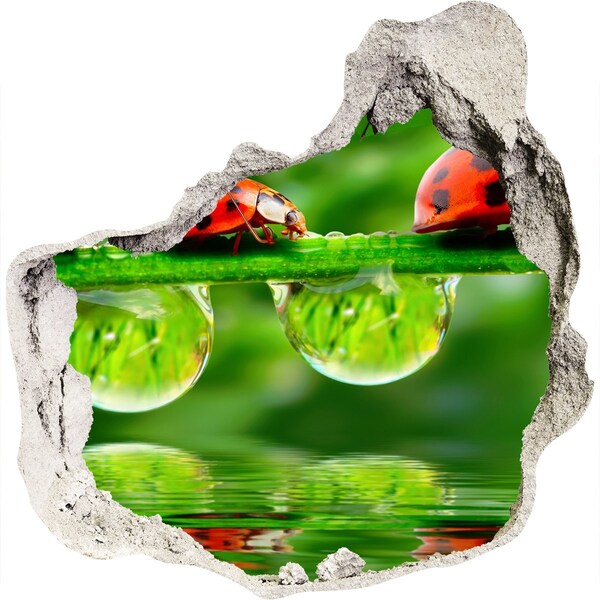 trapfolie Een vleugje natuur met een lieveheersbeestje