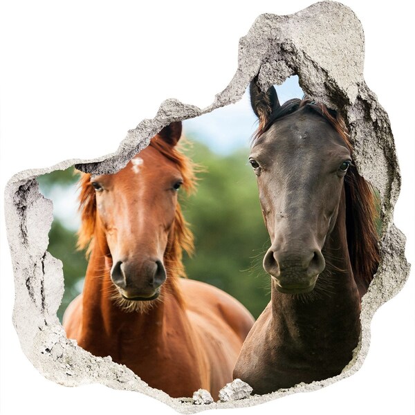 trapstickers tegels Paarden in hun natuurlijke leefomgeving