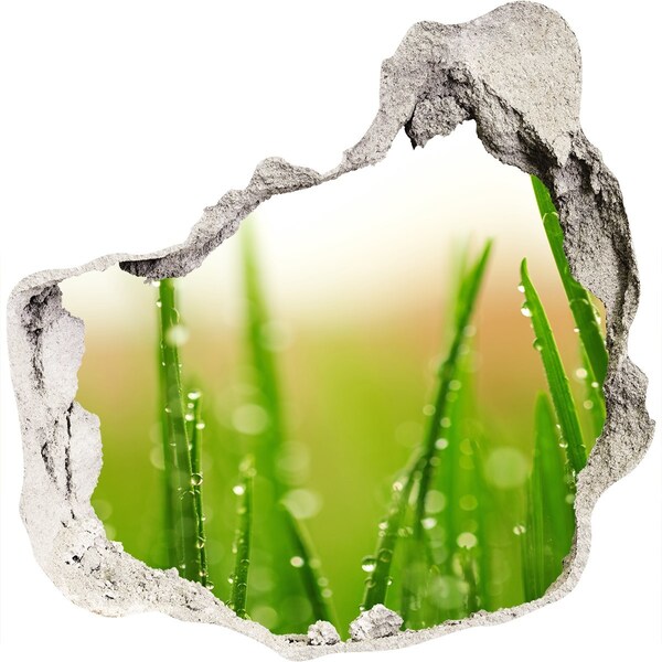 trapstickers natuur Groene weide met waterdruppels