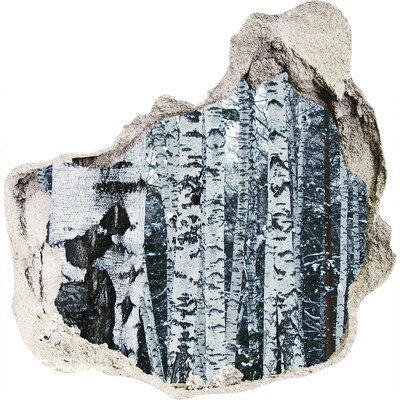 zelfklevende trapfolie Winterberkenbos