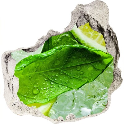 tegelstickers keuken Verse muntblaadjes op ijs