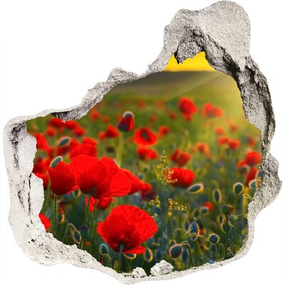 naklejka fototapeta 3D widok Kwiatowy raj w dziurze w ścianie