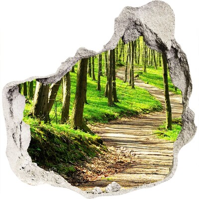 trapfolie Bospad in de zon