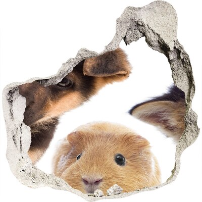 Dziura 3d fototapeta naklejka Zwierzęta zza ściany