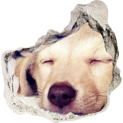 tegelstickers keuken Schattige hond in een gat in de muur