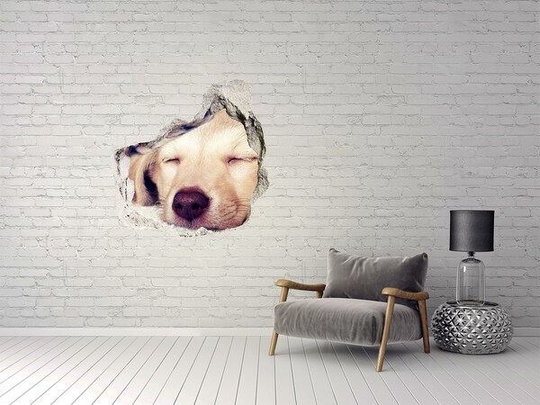 tegelstickers keuken Schattige hond in een gat in de muur