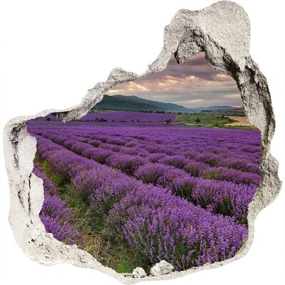 3D wandsticker gat in de muur Lavendelvelden in de stralen van de ondergaande zon