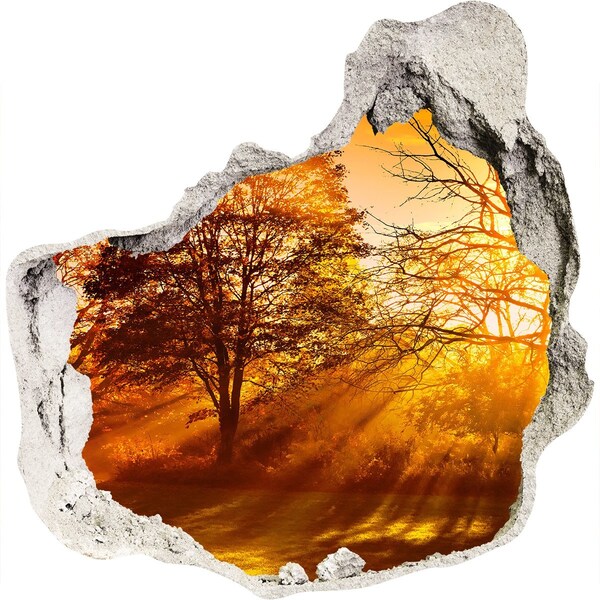 trapfolie Gouden zonnestralen in het bos