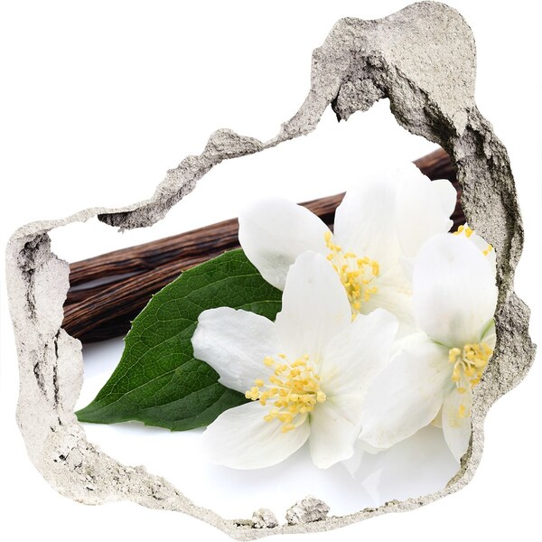 tegelstickers keuken Jasmijnbloemen in beton