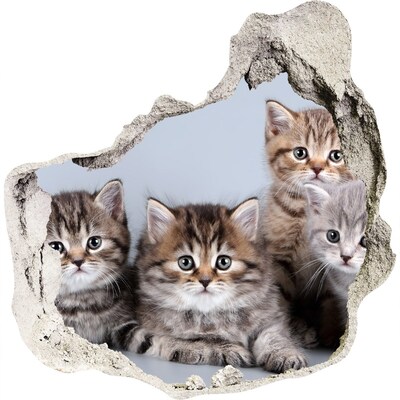 Zelfklevende muursticker 3D gat Kittens in een gat in de muur