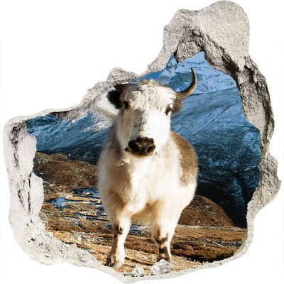 Dziura 3d fototapeta naklejka Górski bawół w dziurze w ścianie