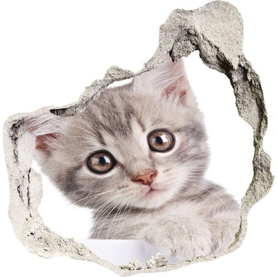 Zelfklevende muursticker 3D gat Kitten in een gat in de muur