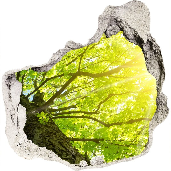 tegelstickers keuken Groen bos in de zonnestralen