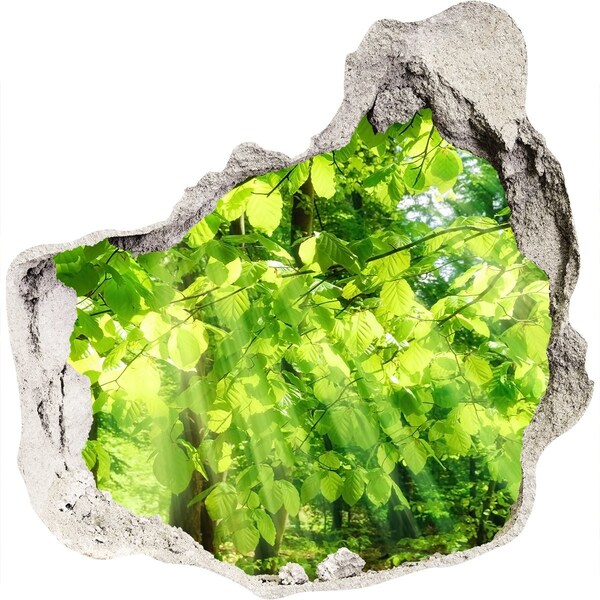 zelfklevende trapfolie Groen bos in de zonnestralen