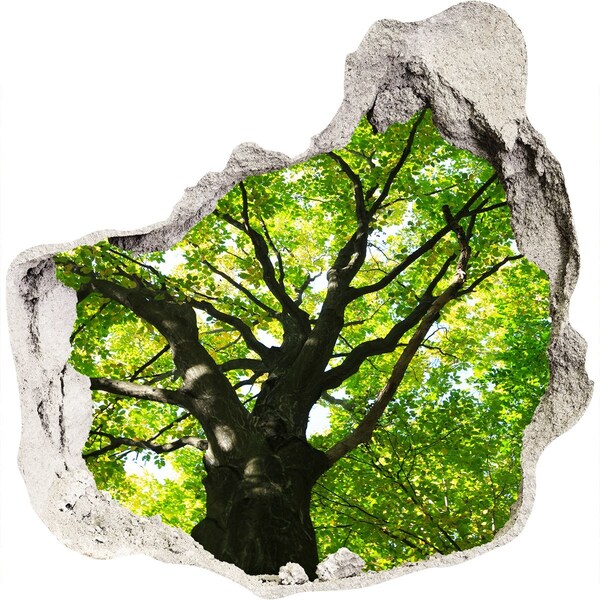 tegelstickers keuken Groen bos in een gat in de muur