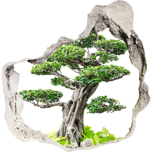tegelstickers keuken Bonsai in een gat in de muur