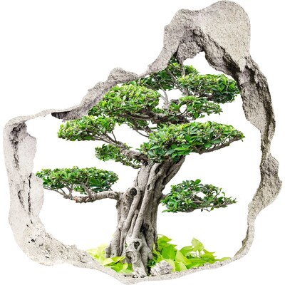 tegelstickers keuken Bonsai in een gat in de muur