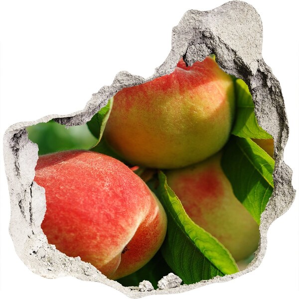 trapfolie Appelboomgaard