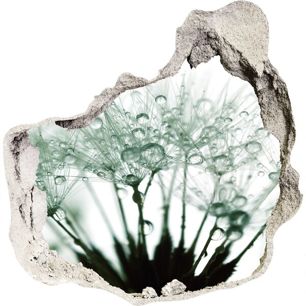 Fotoobraz dziura na ścianę Kwiatowe marzenie za ścianą