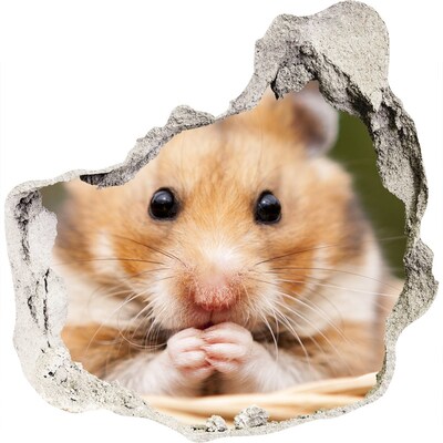 trapstickers natuur Hamster in een transparant gat in de muur