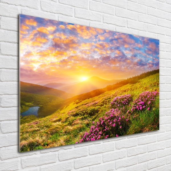 Plexiglas schilderij Zonsondergang boven de bergen