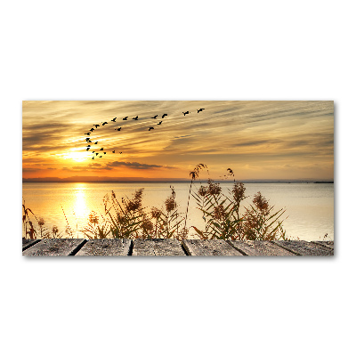 Foto op plexiglas Steiger aan het meer