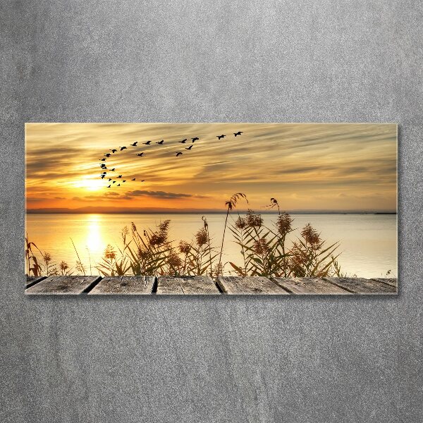 Foto op plexiglas Steiger aan het meer