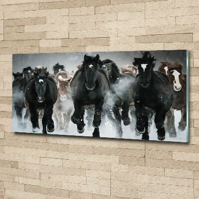 Foto in plexiglas Paarden in galop