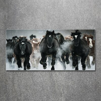 Foto in plexiglas Paarden in galop