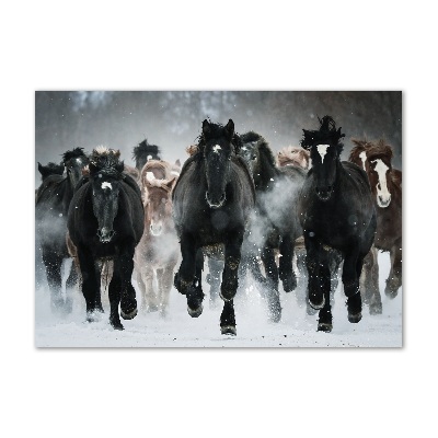 Foto in plexiglas Paarden in galop
