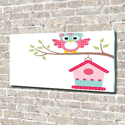 Schilderij op acrylglas Uil op een tak