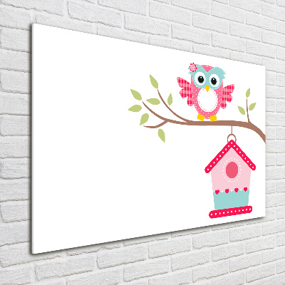 Schilderij op acrylglas Uil op een tak
