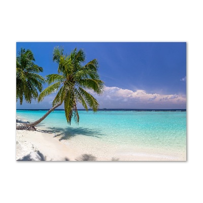 Plexiglas schilderij Panorama van het strand